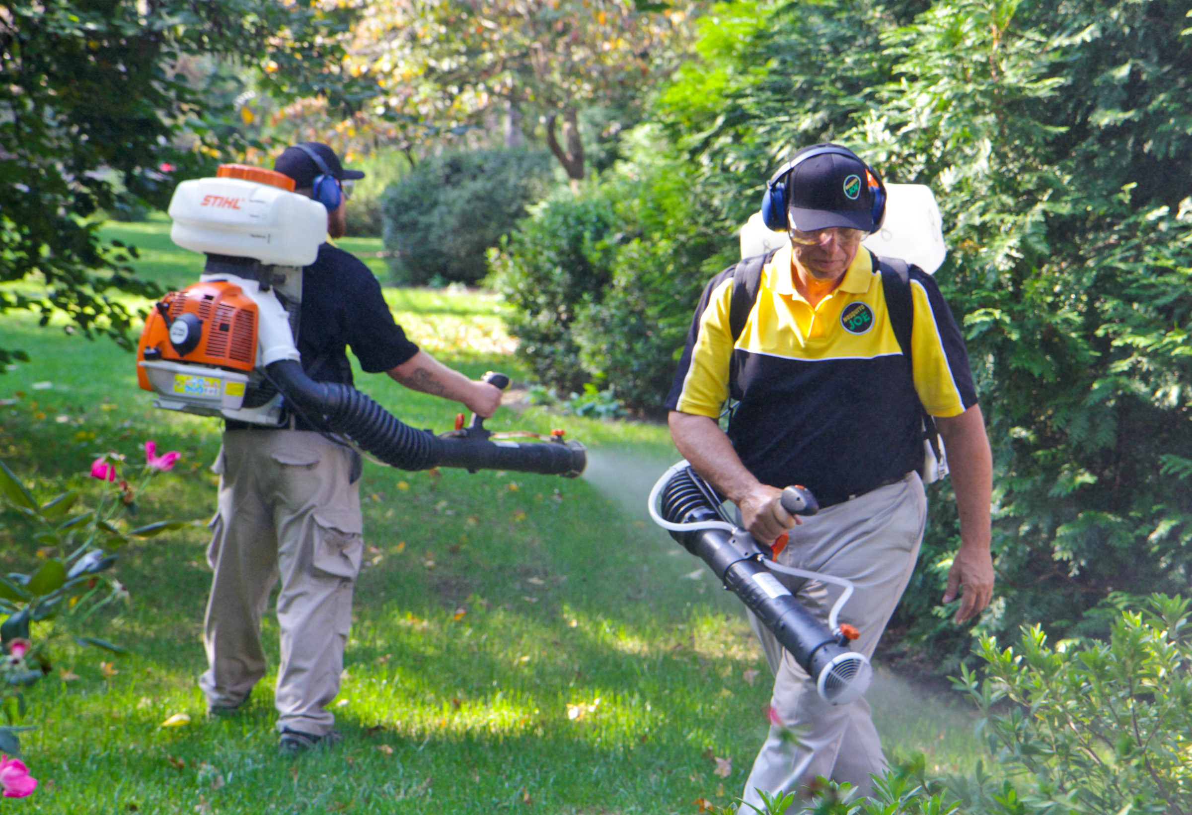 Mosquito Joe Spraying